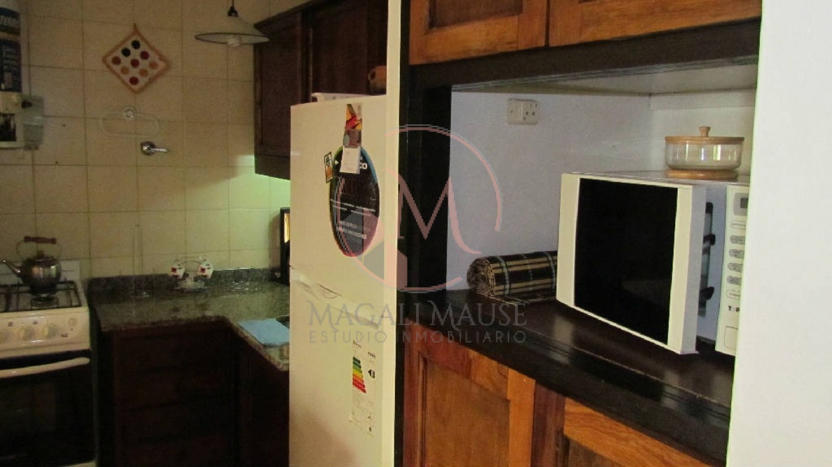 Martin Pescador 1198